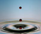 water drop